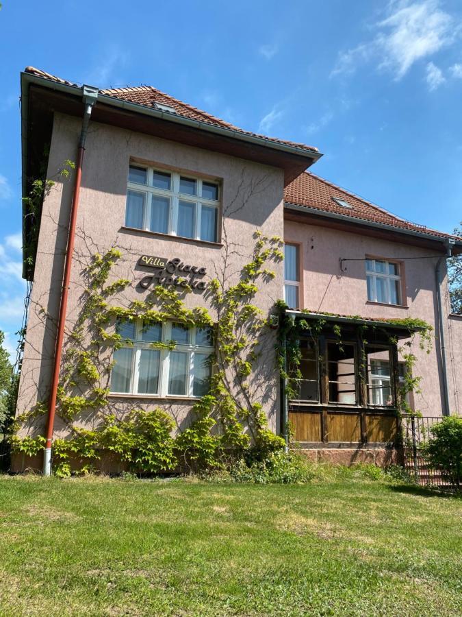 Villa Stara Apteka Srebrna Gora Ngoại thất bức ảnh